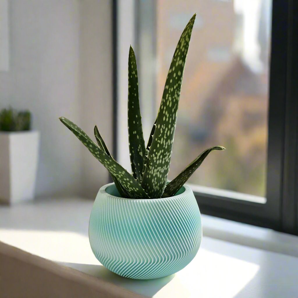 Ghiveci Ocean Breeze 3D